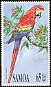 Scarlet Macaw Ara macao  1991 Parrots 