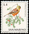 Ortolan Bunting Emberiza hortulana