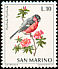 Eurasian Bullfinch Pyrrhula pyrrhula  1972 Birds 