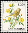 European Greenfinch Chloris chloris