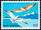 Slender-billed Gull Chroicocephalus genei  1978 San Marino-Riccione stamp fair 