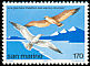 Slender-billed Gull Chroicocephalus genei