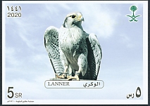 Lanner Falcon Falco biarmicus