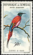 Northern Carmine Bee-eater Merops nubicus  1961 Birds 