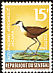 African Jacana Actophilornis africanus