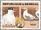 Caspian Tern Hydroprogne caspia  1981 National parks 4v sheet