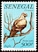 Tawny Eagle Aquila rapax  1982 Birds 