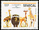 Common Ostrich Struthio camelus  1986 Guembeul national park 5v set