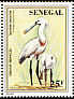 Eurasian Spoonbill Platalea leucorodia  1997 Threatened birds 