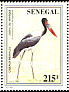 Saddle-billed Stork Ephippiorhynchus senegalensis