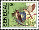 Common Nightingale Luscinia megarhynchos