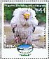 Egyptian Vulture Neophron percnopterus