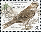 Saker Falcon Falco cherrug  2021 Europa 