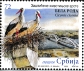 White Stork Ciconia ciconia
