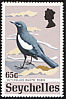 Seychelles Magpie-Robin Copsychus sechellarum