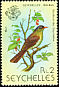 Seychelles Bulbul Hypsipetes crassirostris  1979 Birds 