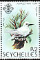 White Tern Gygis alba