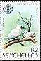 White Tern Gygis alba