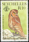 Seychelles Scops Owl Otus insularis  1985 Audubon 