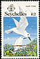 White Tern Gygis alba