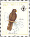 Seychelles Black Parrot Coracopsis barklyi  1989 Island birds Sheet