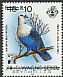 Comoros Blue Pigeon Alectroenas sganzini