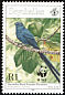 Seychelles Paradise Flycatcher Terpsiphone corvina  1996 WWF 