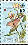 Seychelles White-eye Zosterops modestus  1996 Birds 