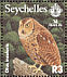 Seychelles Scops Owl Otus insularis