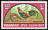 Red Junglefowl Gallus gallus