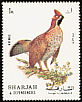 Hazel Grouse Tetrastes bonasia