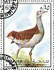 Great Bustard Otis tarda  1972 Birds 