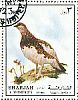 Rock Ptarmigan Lagopus muta  1972 Birds 