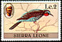 Black Bee-eater Merops gularis  1981 Imprint 1981 on 1980.01 