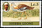 Denham's Bustard Neotis denhami  1981 Imprint 1981 on 1980.01 