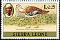 Denham's Bustard Neotis denhami  1982 Imprint 1982 on 1980.01 