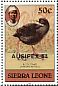 Black Crake Zapornia flavirostra  1984 Overprint AUSIPEX 84 on 1980.01 