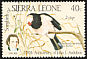 Straw-tailed Whydah Vidua fischeri  1985 Audubon 