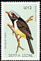 Red-billed Helmetshrike Prionops caniceps  1988 Birds 