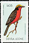 Yellow-crowned Gonolek Laniarius barbarus  1988 Birds 