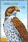Mauritius Kestrel Falco punctatus  1989 Endangered species of the world  MS