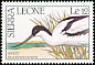 Pied Avocet Recurvirostra avosetta  1990 Birds 