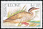 African Finfoot Podica senegalensis  1990 Birds 