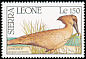 Hamerkop Scopus umbretta  1990 Birds 