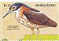 White-backed Night Heron Calherodius leuconotus  1990 Wildlife 18v sheet