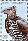Crowned Eagle Stephanoaetus coronatus