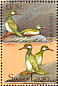 Hesperornis Hesperornis sp  1992 Prehistoric animals 