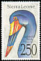 Saddle-billed Stork Ephippiorhynchus senegalensis  1992 Birds 