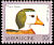 African Pygmy Goose Nettapus auritus  1992 Birds definitives 