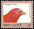 Red-billed Firefinch Lagonosticta senegala